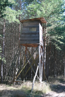 Jagdeinrichtung im Forst Colbitz