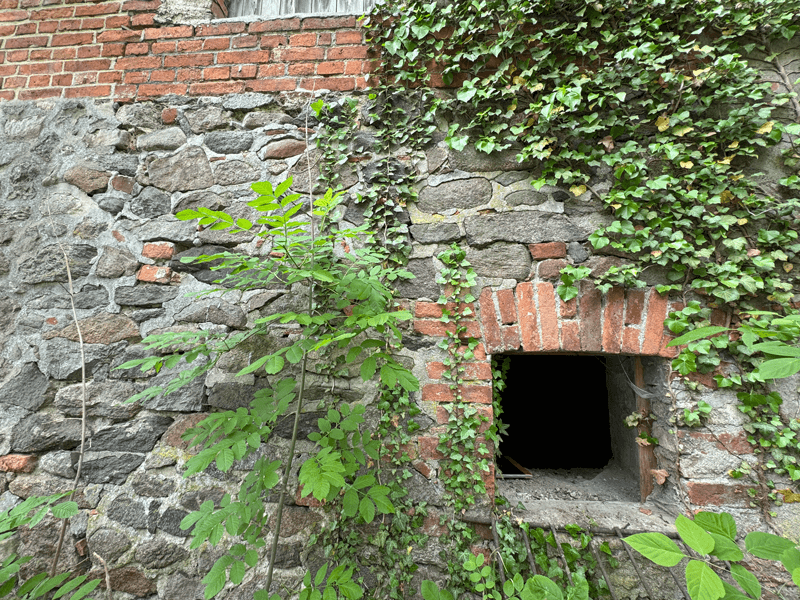 palas-angern-fenster-nord