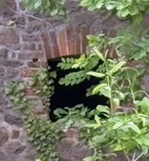 palas-angern-fenster-sued