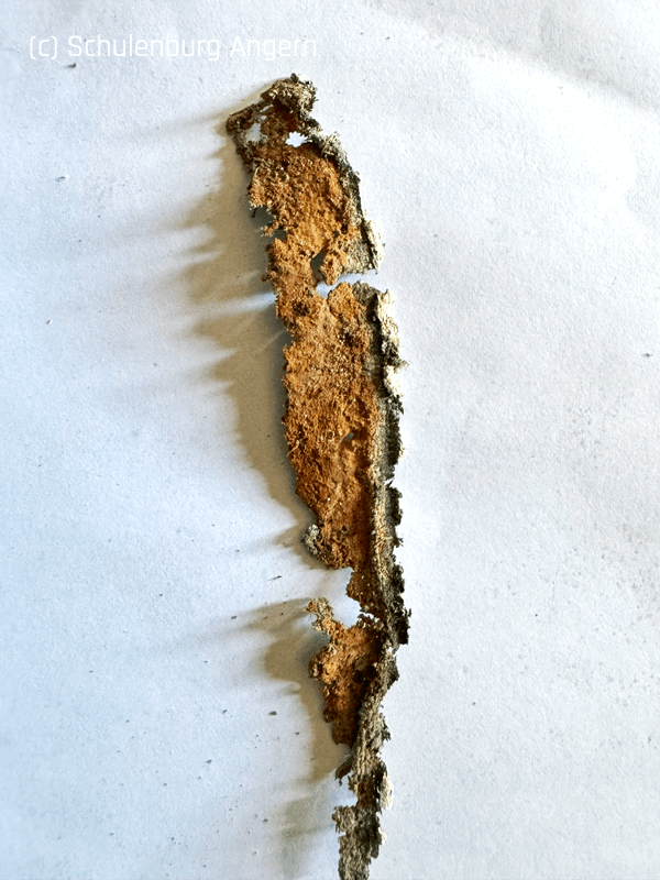 Textile Leinentapete Schloss Angern